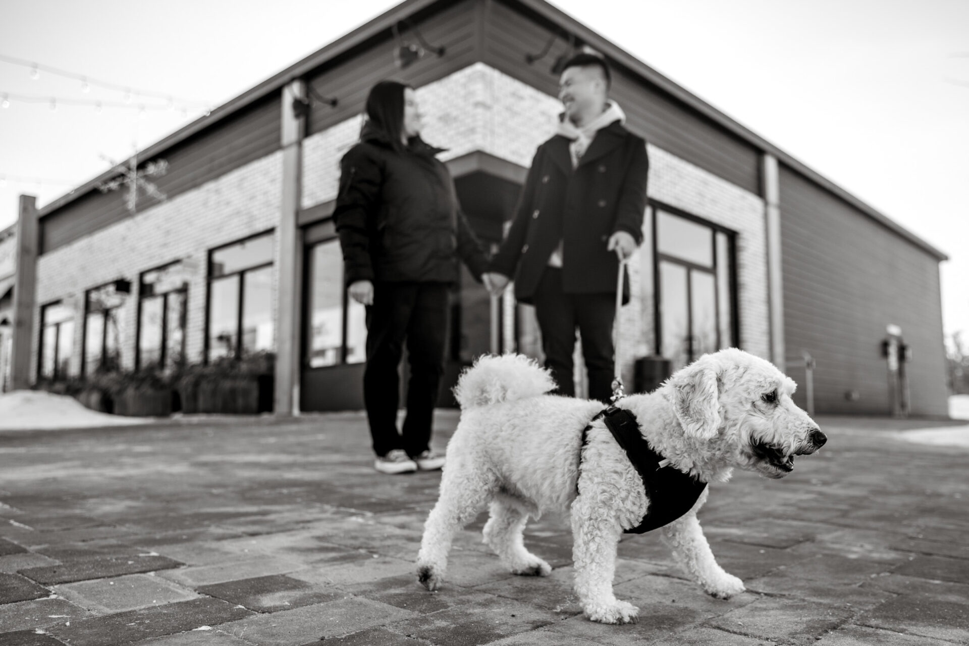 A couple with a dog on a leash stands before a modern building in winter.