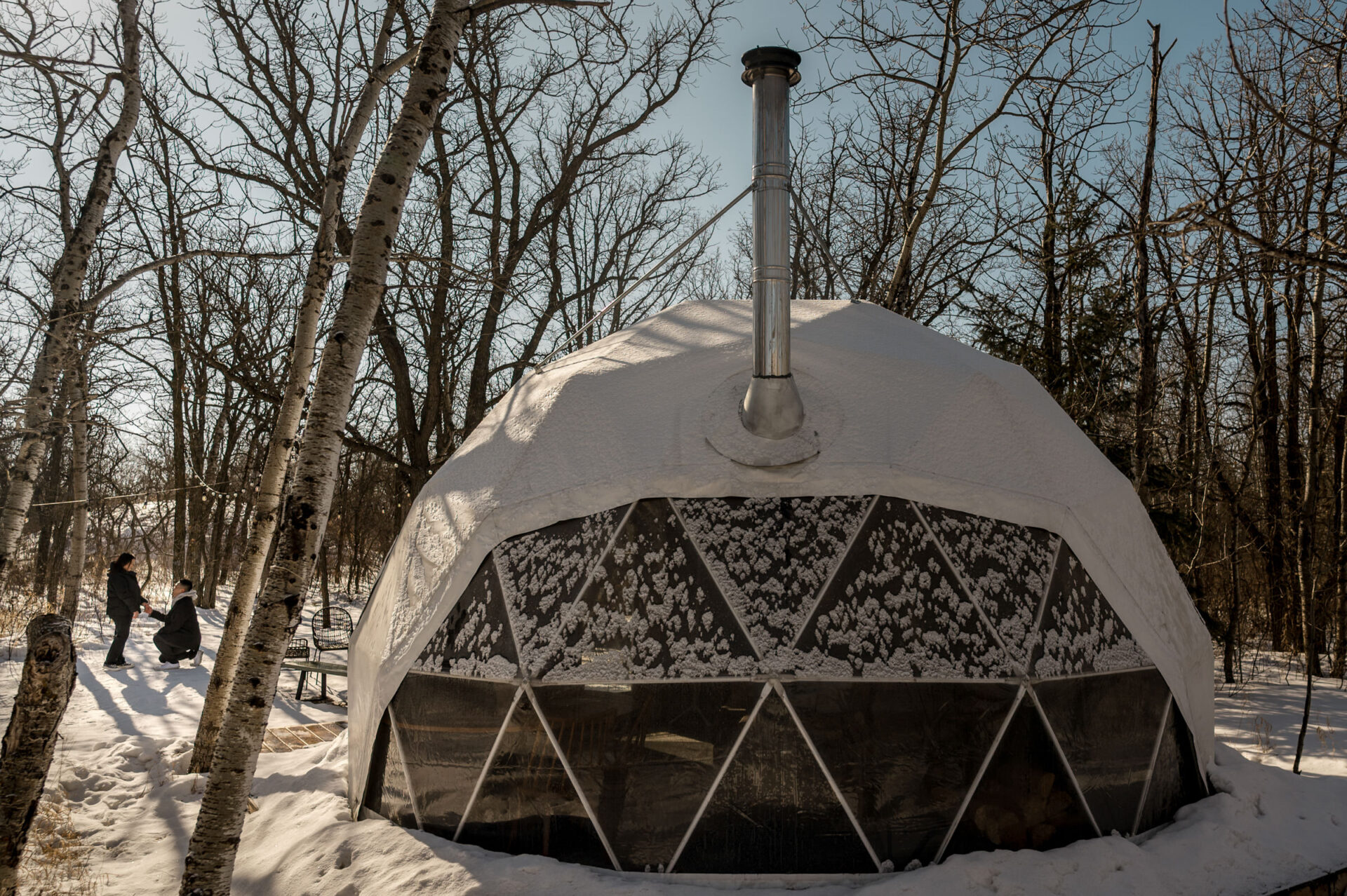 Snow-covered geodesic dome in a winter forest, perfect for a winter engagement, under sunny sky.