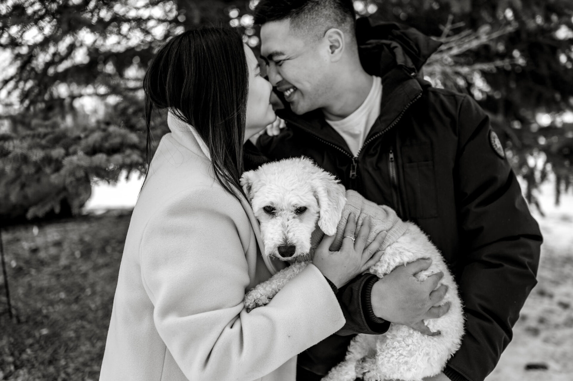 Couple embracing with a small white dog under snowy pine trees, sharing a winter engagement.