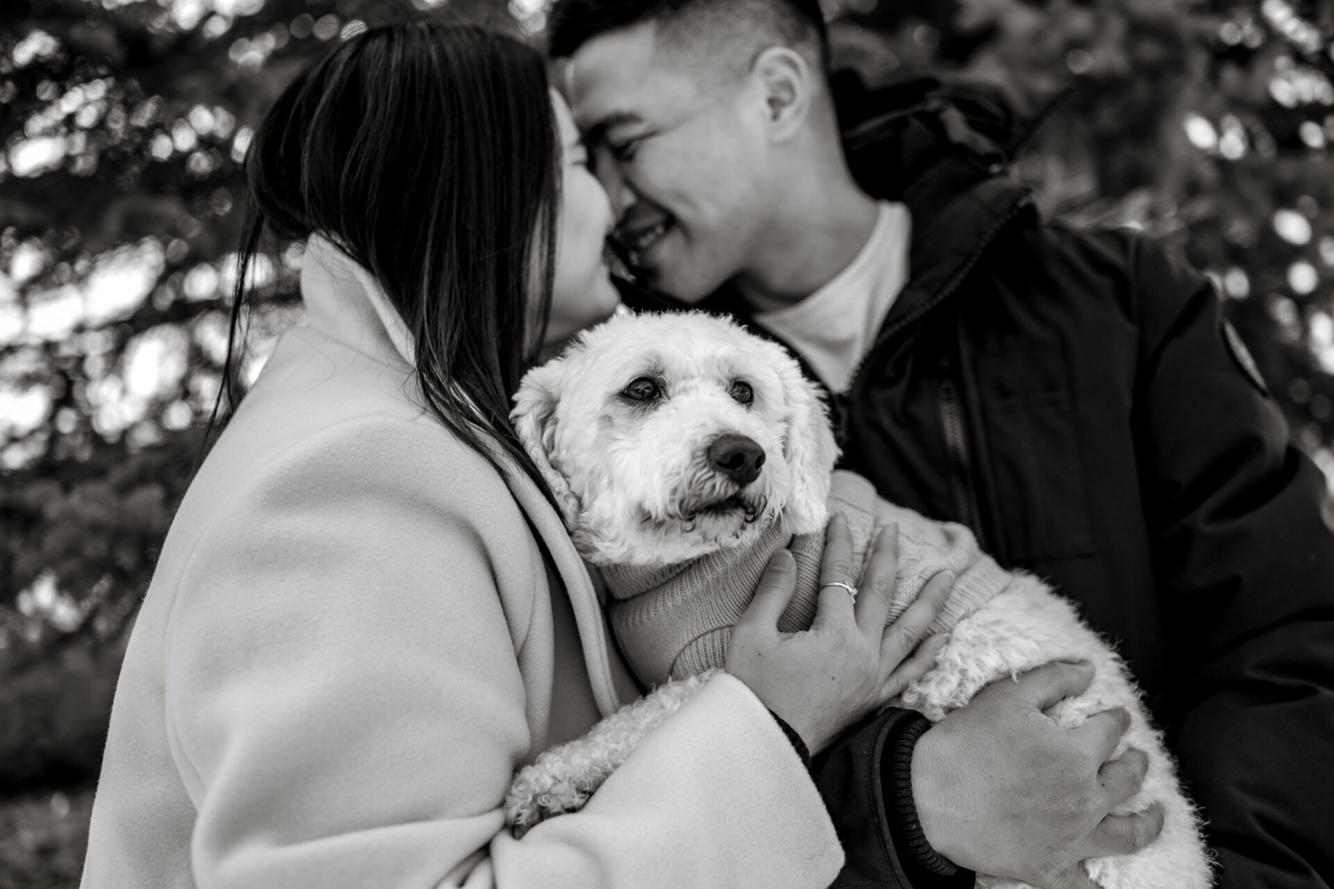Couple embracing, holding a fluffy dog during their winter engagement.